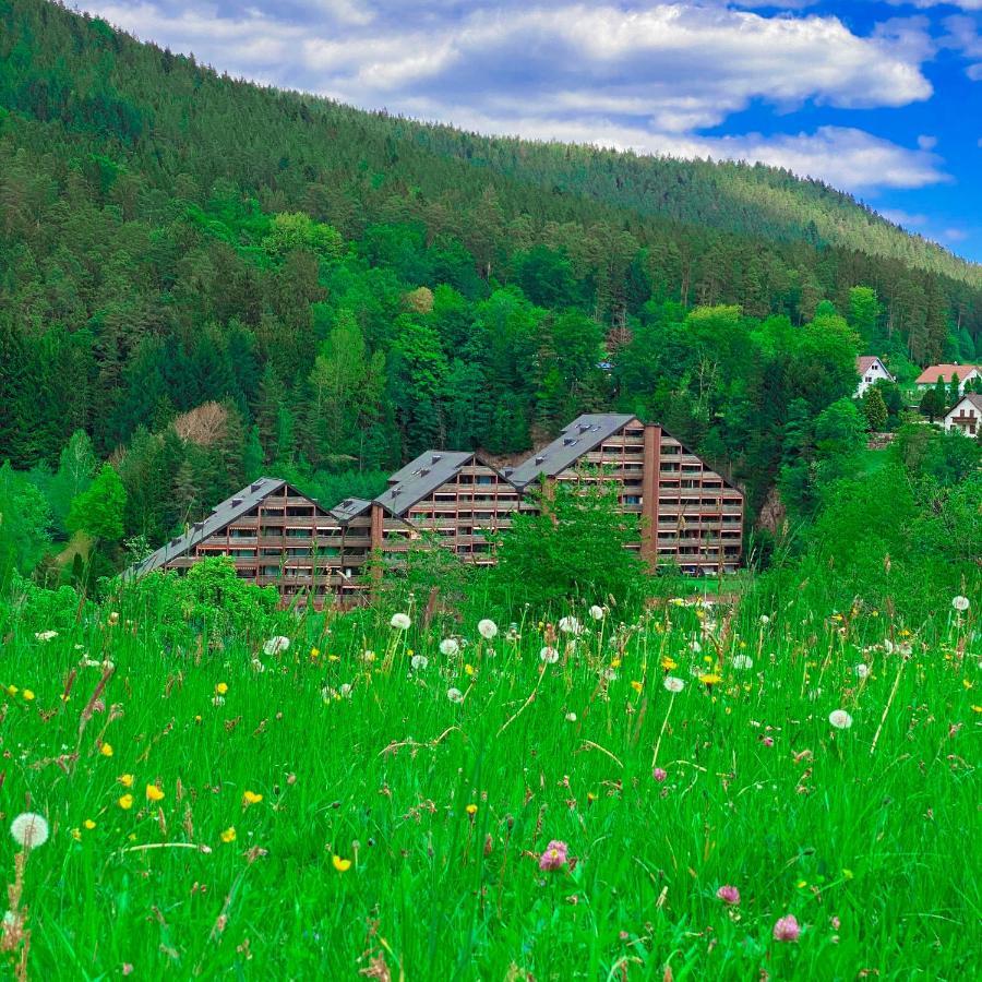 Ferienwohnung Guenter Im Tonbachtal 바이에르스브론 외부 사진